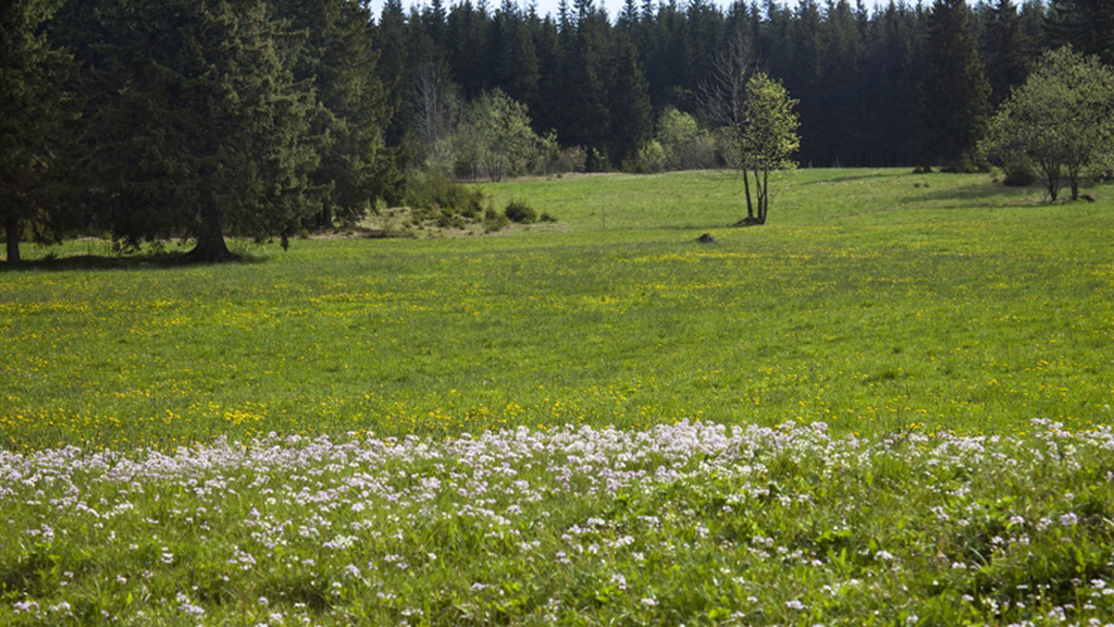 10th anniversary of the PIONIER network in Zakopane: photostory