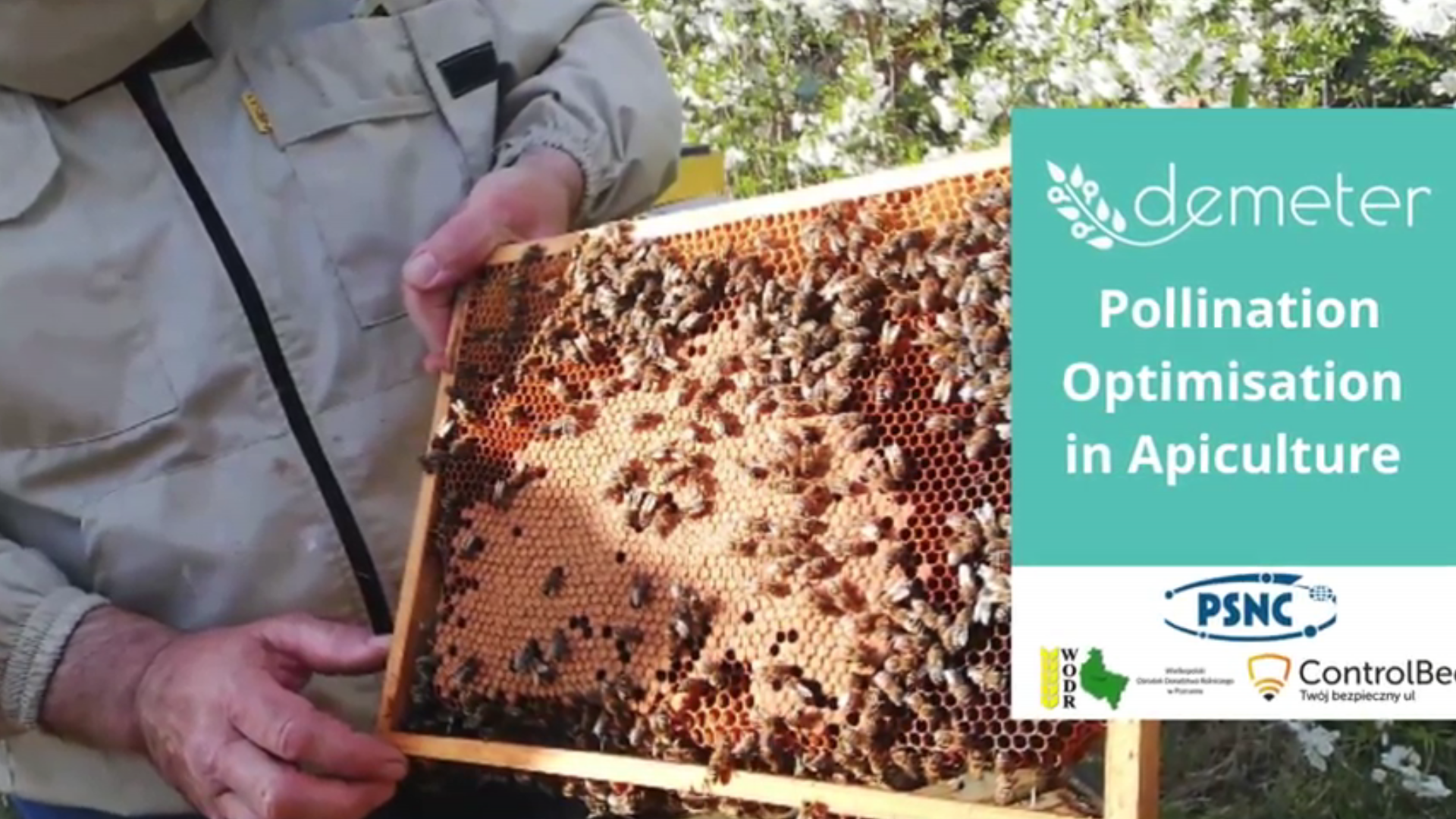 Pollination optimization service in the Demeter project